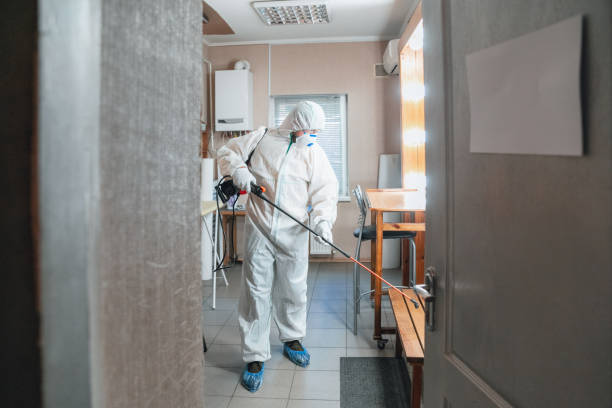Best Asbestos and Lead Testing During Mold Inspection  in Lake Clarke Shores, FL
