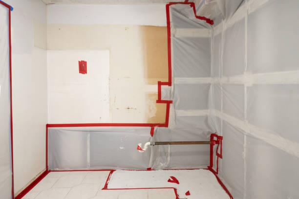 Best Mold Removal for HVAC Installations  in Lake Clarke Shores, FL