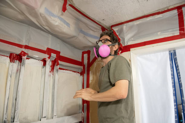 Mold Odor Removal Services in Lake Clarke Shores, FL