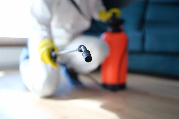 Best Mold Damage Restoration  in Lake Clarke Shores, FL