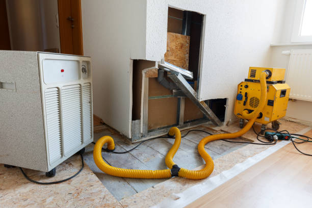 Trusted Lake Clarke Shores, FL Mold Removal Experts